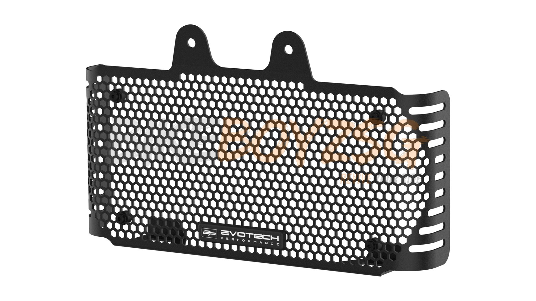EP BMW R NineT Oil Cooler Guard
