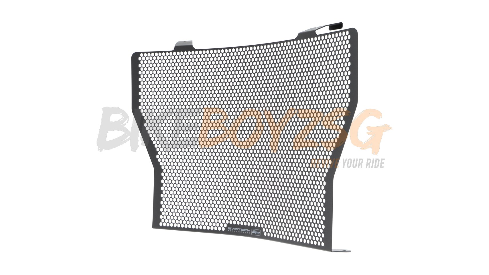 EP BMW S1000RR Radiator Guard Set