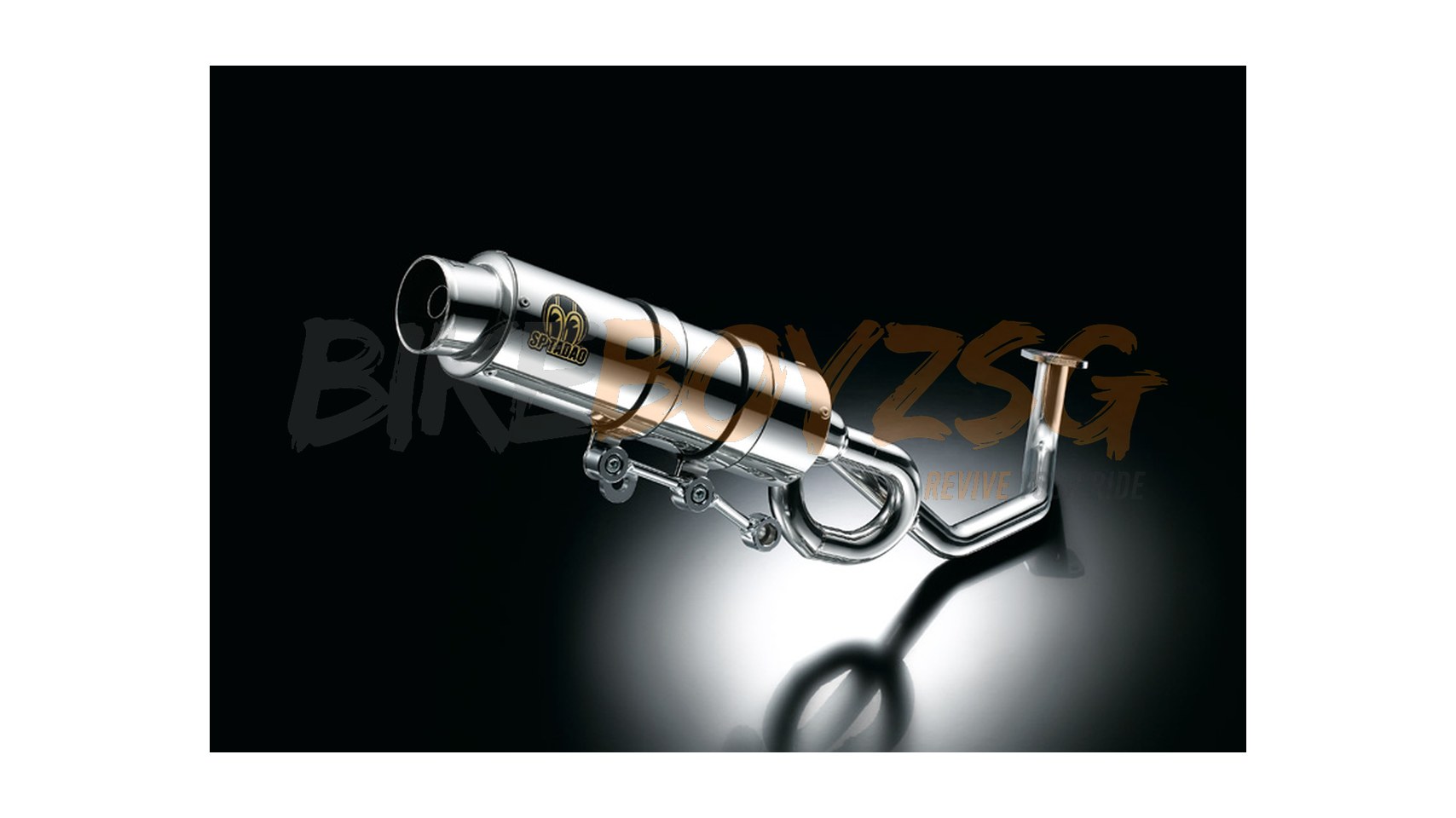 Puresport 'S' Full System (stainless)